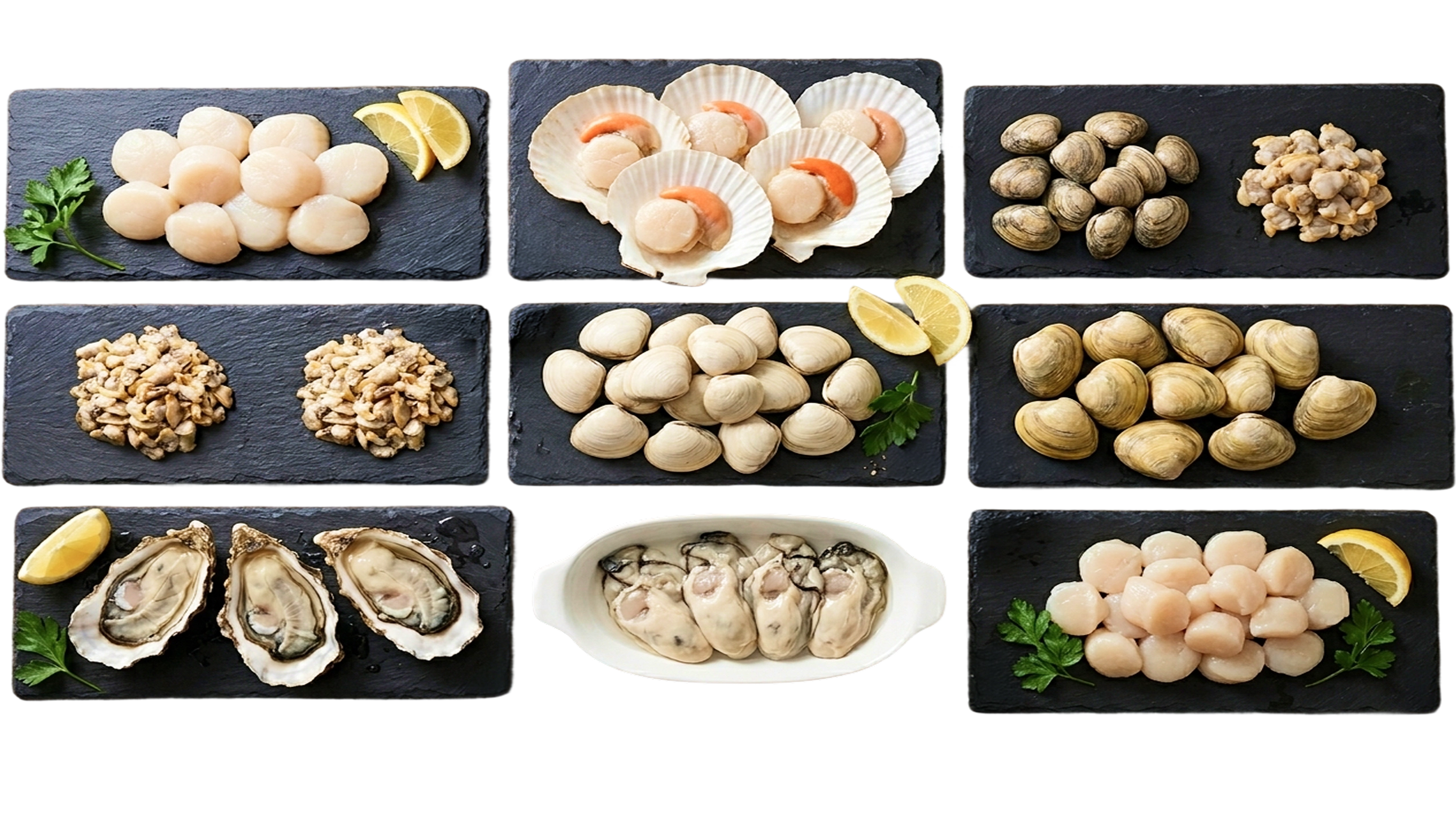 Shell fish
